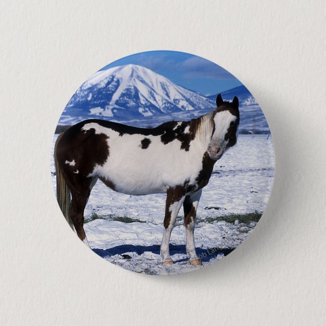 Paint Horse Standing in the Snow Pinback Button (Front)