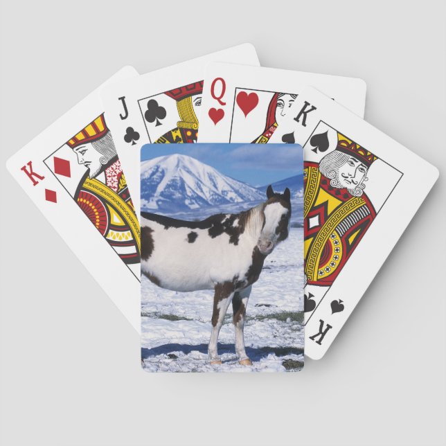 Paint Horse Standing in the Snow Poker Cards (Back)