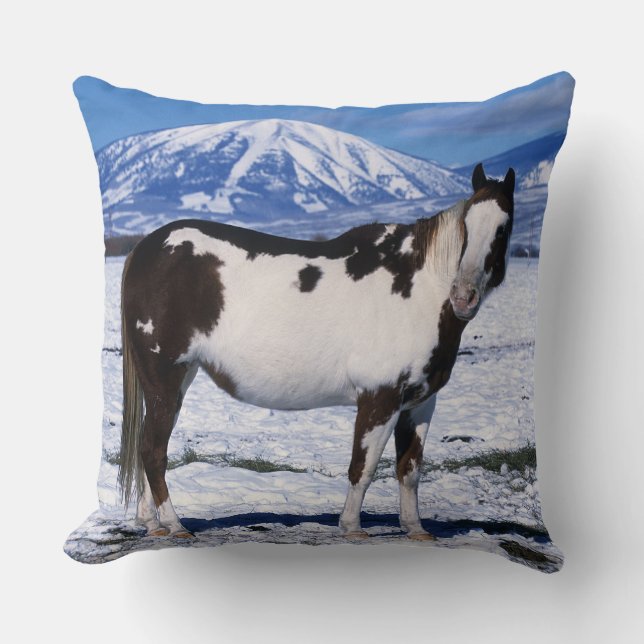 Paint Horse Standing in the Snow Throw Pillow (Front)