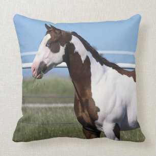 Paint Horse Standing Throw Pillow