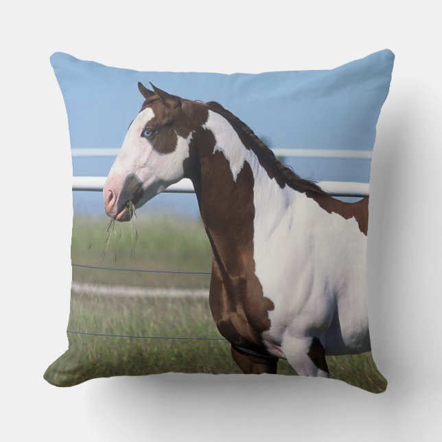 Paint Horse Standing Throw Pillow (Front)