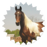 Paint Horse Stickers