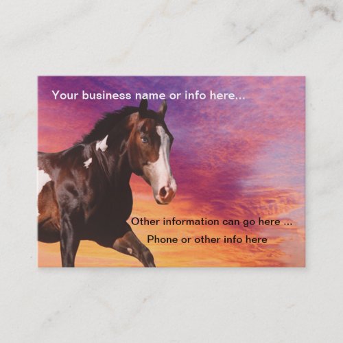 Paint Horse sunrise Business Cards