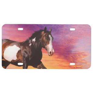 Paint Horse sunrise License Plate