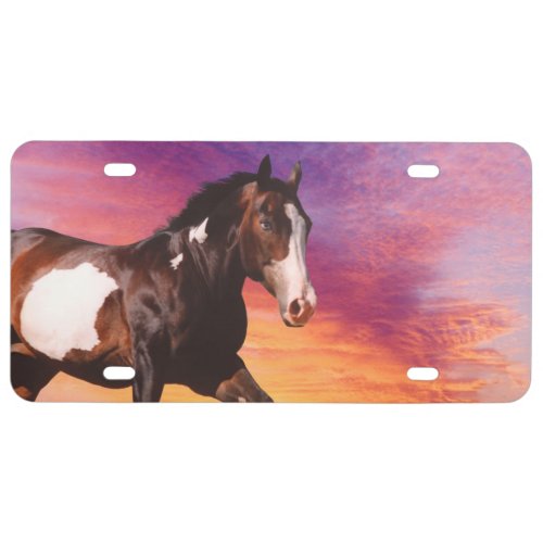 Paint Horse sunrise License Plate