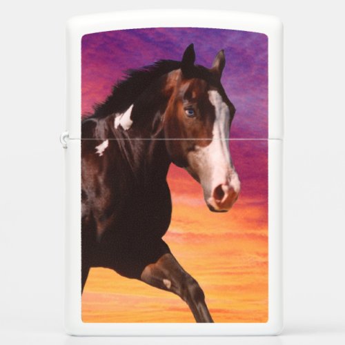 Paint Horse sunrise Lighter