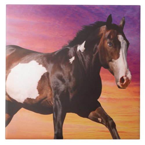 Paint Horse Sunrise Tile