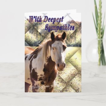 Paint Horse Sympathy Card by MakaraPhotos at Zazzle