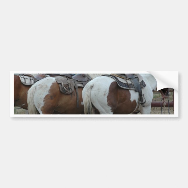 Paint Horse Tail Bumper Sticker (Front)