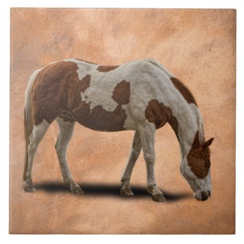 Paint Horse Tile by CNelson01 at Zazzle