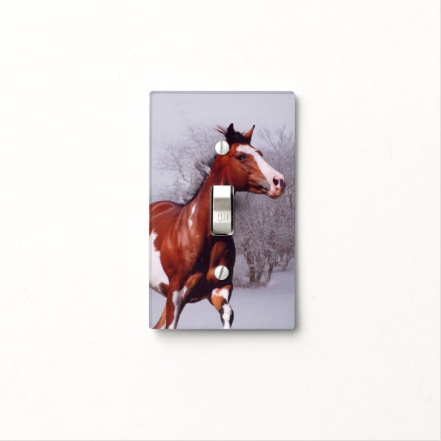Paint Horse winter Light Switch Cover (In Situ)