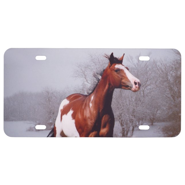 Paint Horse winter snow License Plate (Front)