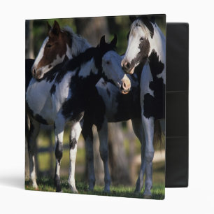 Paint Horses Binder