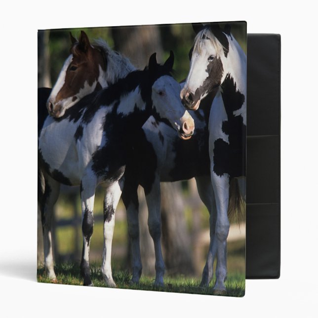 Paint Horses Binder (Front/Inside)