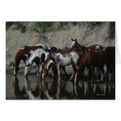 Paint Horses Drinking (Front Horizontal)
