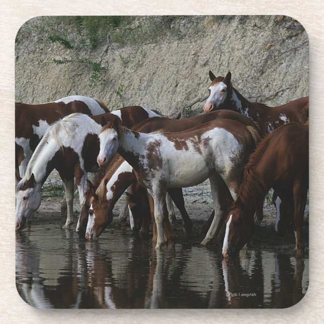 Paint Horses Drinking Beverage Coaster (Front)
