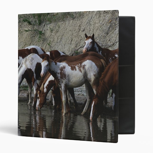 Paint Horses Drinking Binder (Front/Inside)