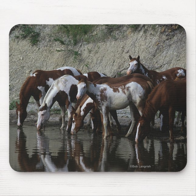 Paint Horses Drinking Mouse Pad (Front)
