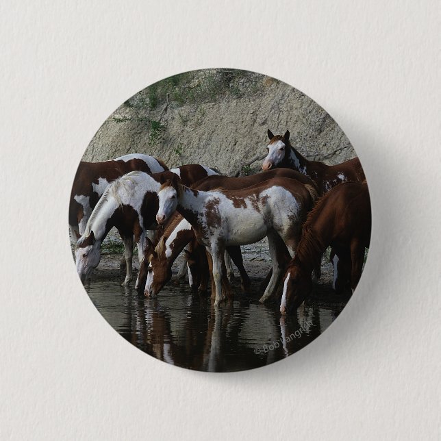 Paint Horses Drinking Pinback Button (Front)