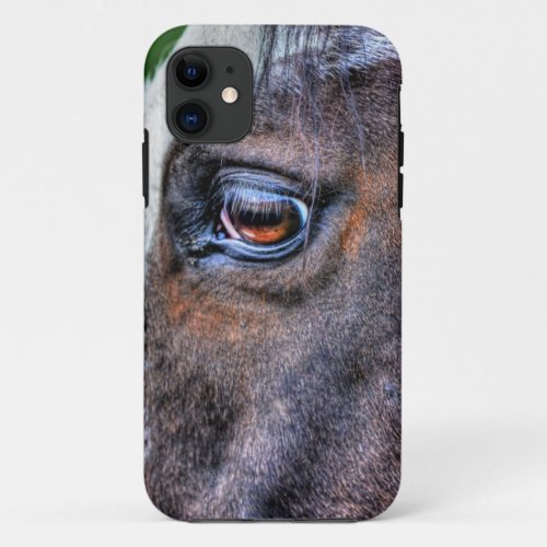 Paint Horses Eye Equine Photo for Horse_lovers iPhone 11 Case