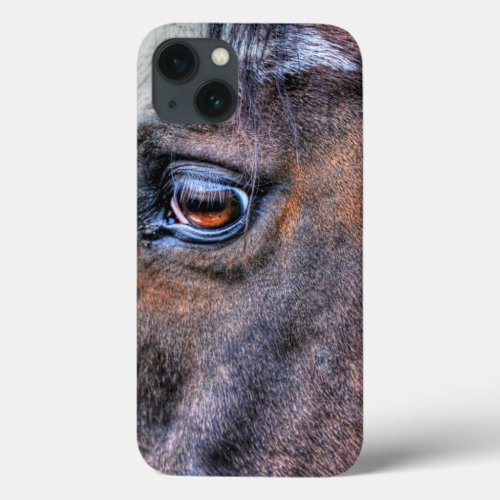 Paint Horses Eye Equine Photo for Horse_lovers iPhone 13 Case