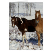 Paint Horses in the Snow (Front)