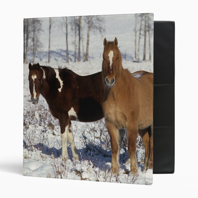 Paint Horses in the Snow Binder (Front/Inside)