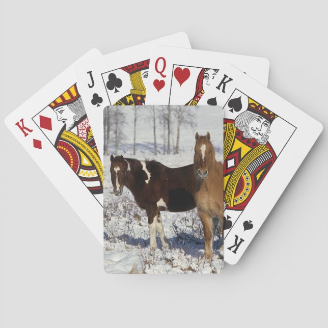 Paint Horses in the Snow Poker Cards (Back)