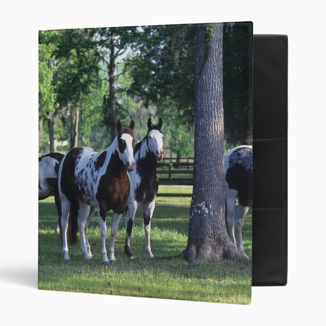 Paint Horses in the Trees Binder (Front/Inside)
