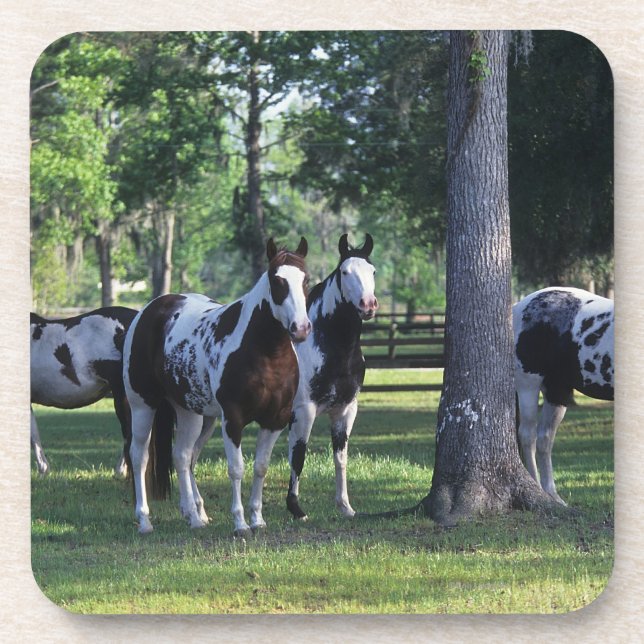 Paint Horses in the Trees Coaster (Front)