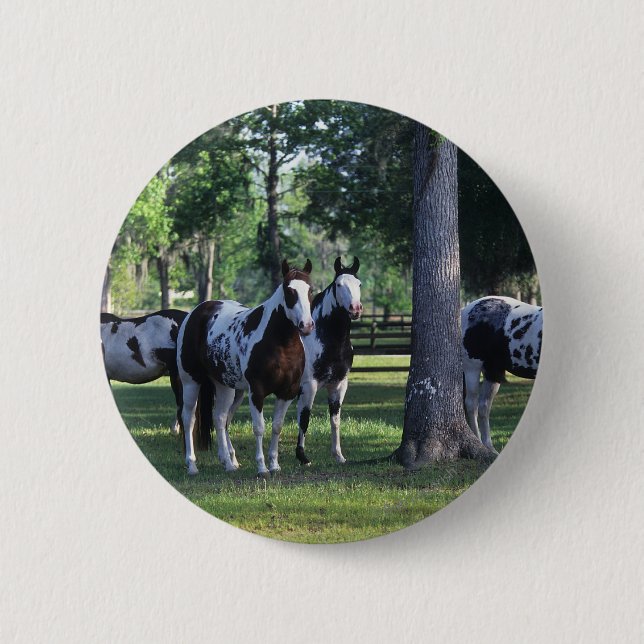 Paint Horses in the Trees Pinback Button (Front)