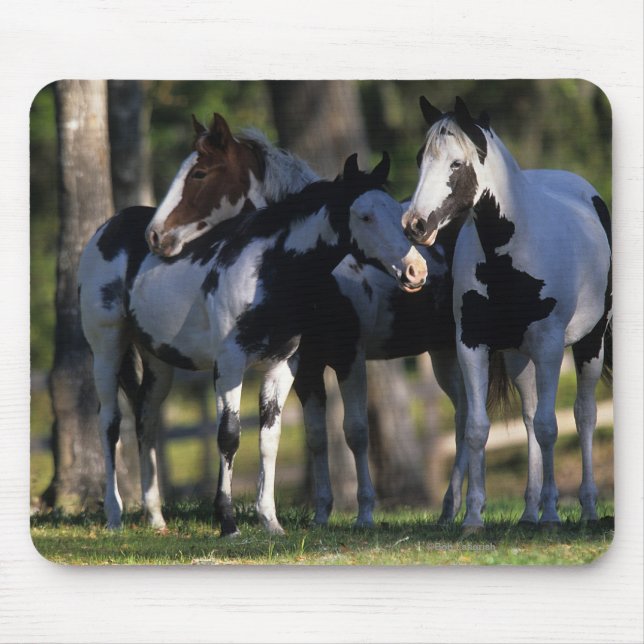 Paint Horses Mouse Pad (Front)