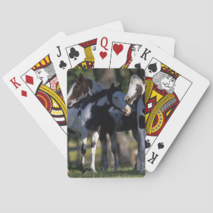 Paint Horses Poker Cards