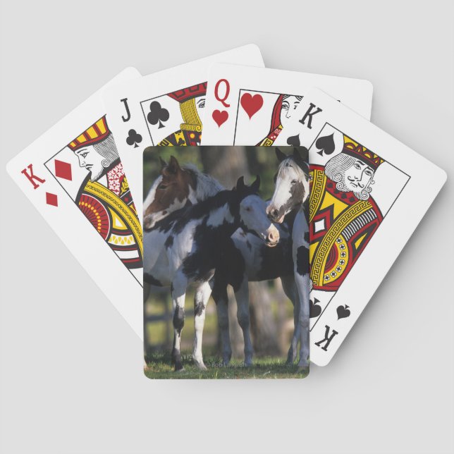 Paint Horses Poker Cards (Back)