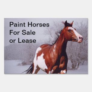 Paint Horses Sales or Lease Yard Sign