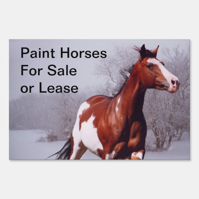 Paint Horses Sales or Lease Yard Sign (Back)