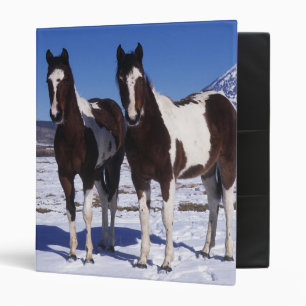 Paint Horses Standing in the Snow Binder