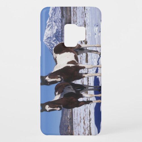 Paint Horses Standing in the Snow Case_Mate Samsung Galaxy S9 Case