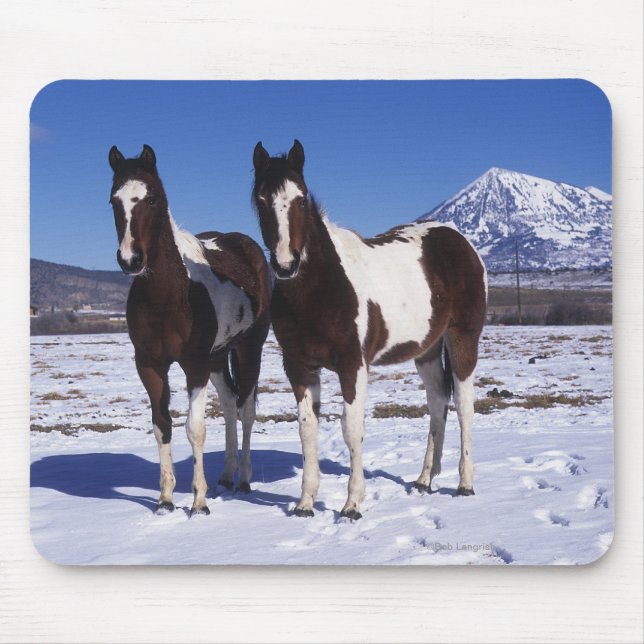 Paint Horses Standing in the Snow Mouse Pad (Front)