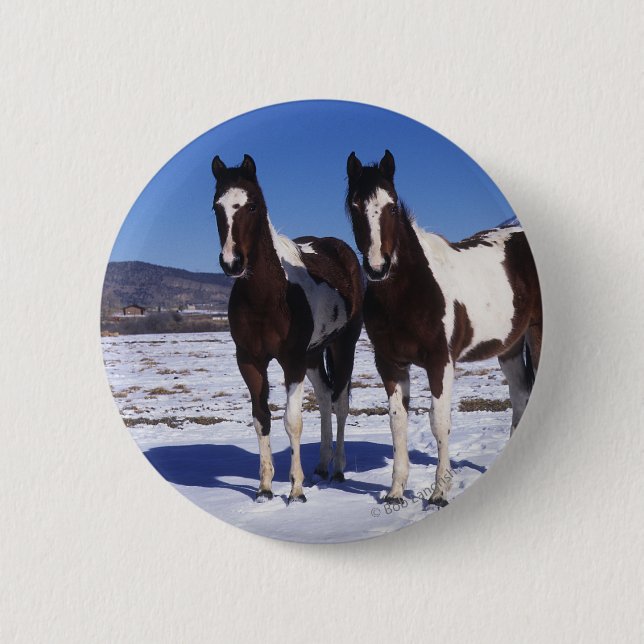 Paint Horses Standing in the Snow Pinback Button (Front)