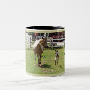 Paint mare and Foal Two-Tone Coffee Mug