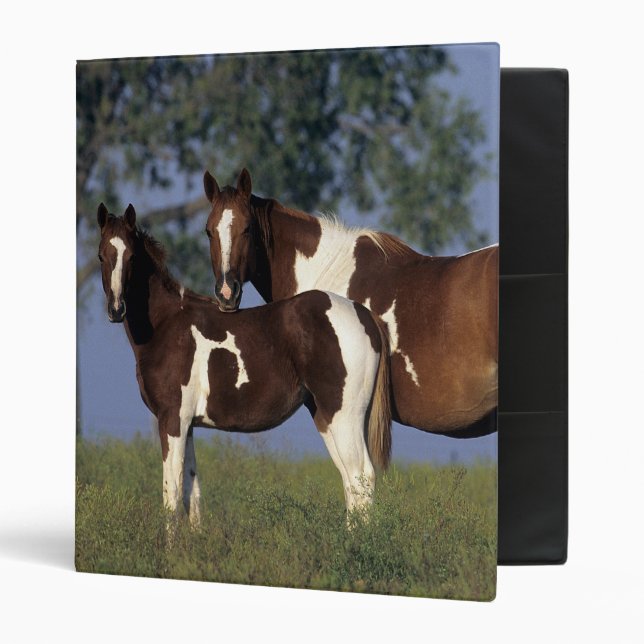 Paint Mare & Foal 3 Ring Binder (Front/Inside)