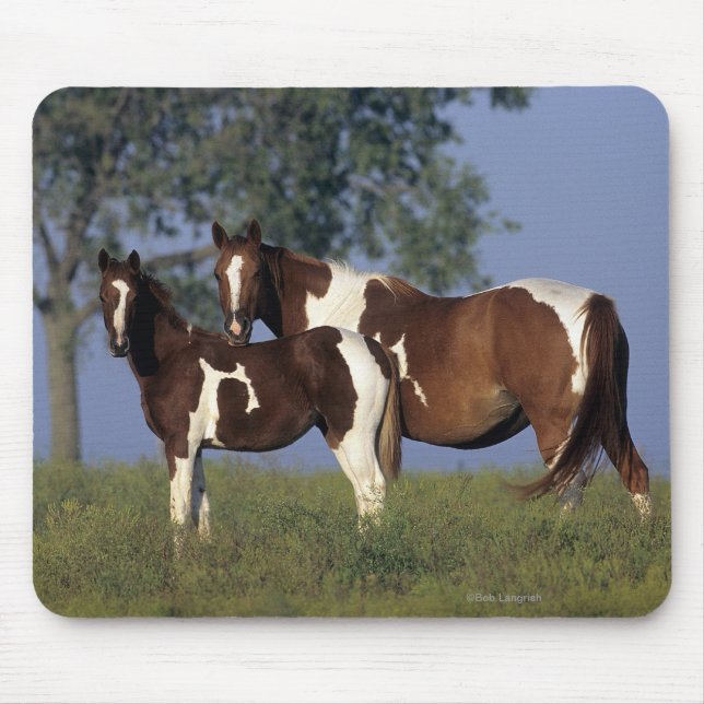 Paint Mare & Foal Mouse Pad (Front)