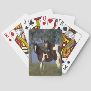 Paint Mare & Foal Poker Cards