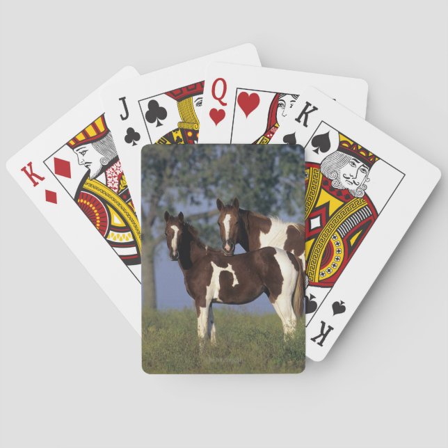 Paint Mare & Foal Poker Cards (Back)