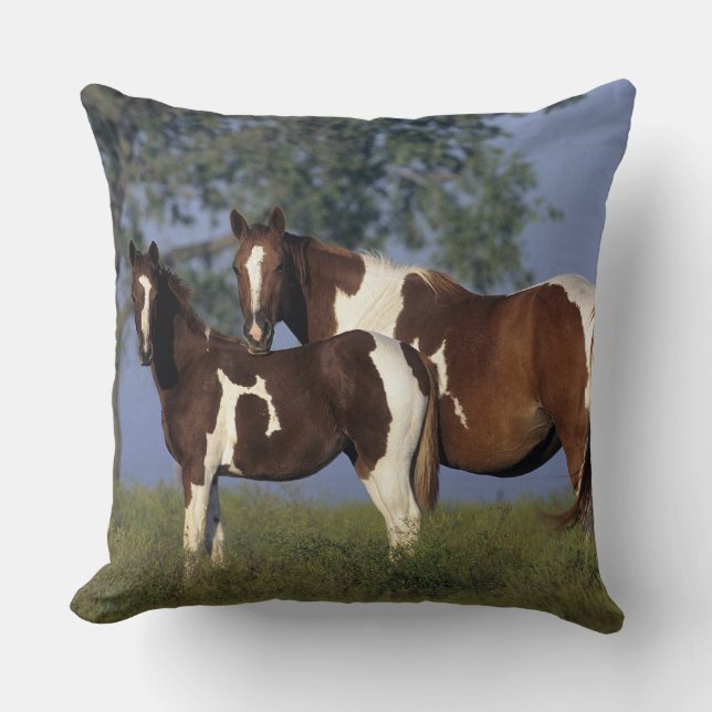 Paint Mare & Foal Throw Pillow (Front)