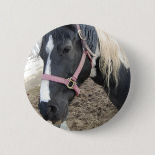Paint Pinto Horse Button