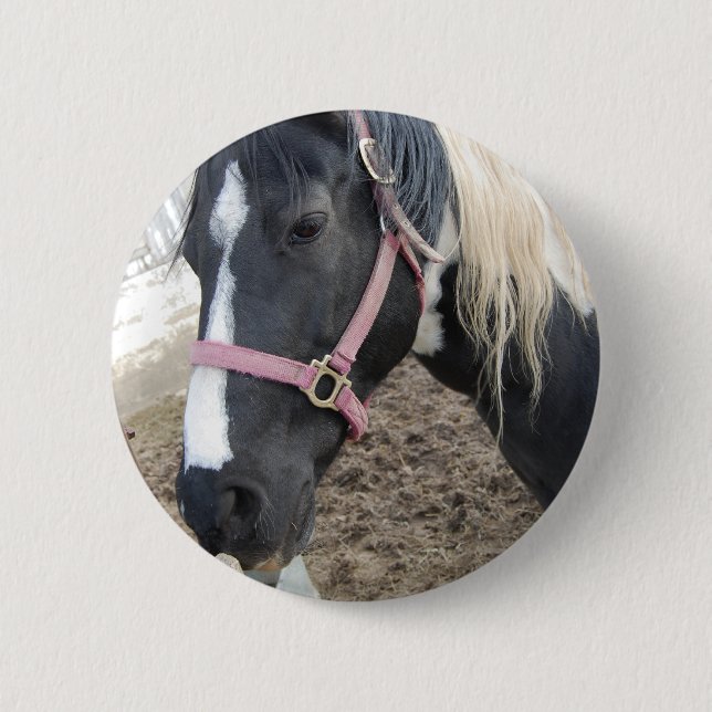 Paint Pinto Horse Button (Front)