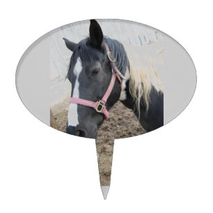 Paint Pinto Horse Cake Topper
