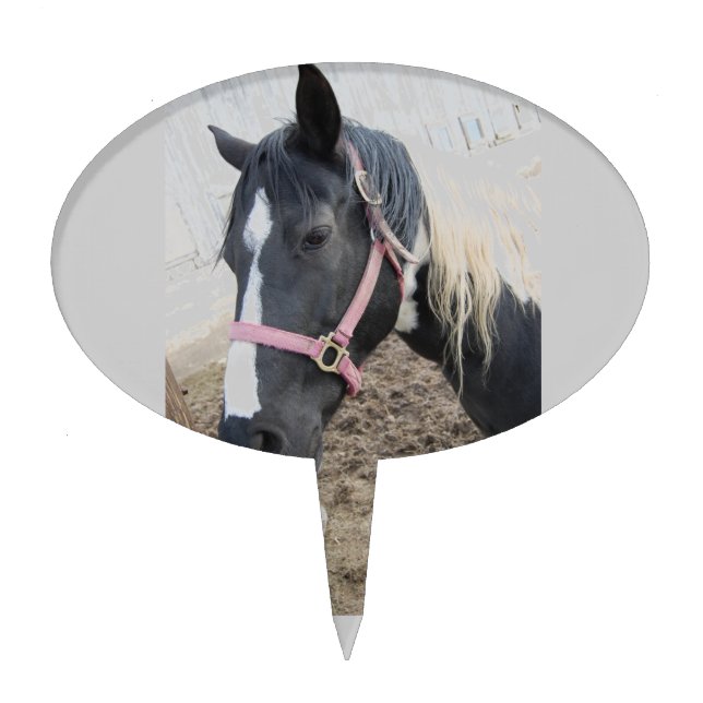 Paint Pinto Horse Cake Topper (Front)